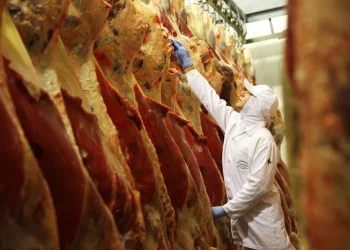 China mantém suspensão a três frigoríficos brasileiros, mas mercado segue aquecido