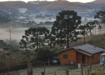 Geada deve afetar 6 estados e 4 capitais terão recorde de frio