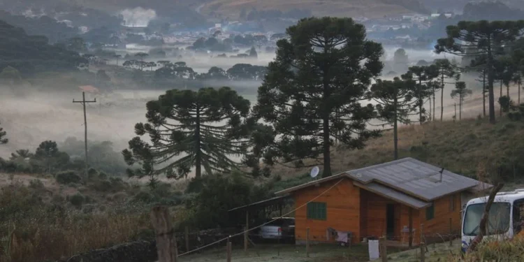 Geada deve afetar 6 estados e 4 capitais terão recorde de frio