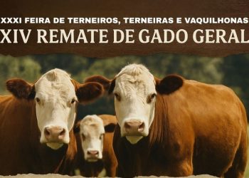 Machadinho se organiza para a 31ª Feira de Terneiros, Terneiras e Vaquilhonas e o 14º Remate de Gado Geral