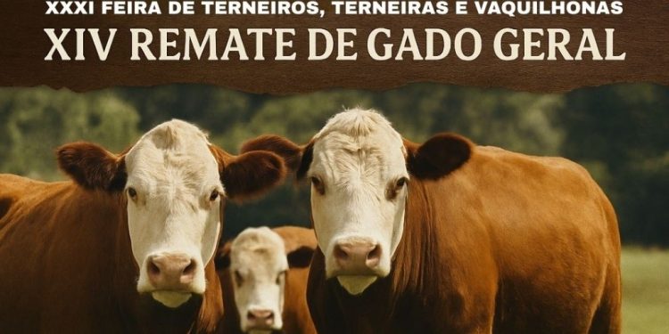 Machadinho se organiza para a 31ª Feira de Terneiros, Terneiras e Vaquilhonas e o 14º Remate de Gado Geral