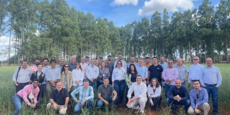 Agricultura de Baixo Carbono é tema de Seminário Internacional