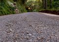 Prefeitura de Carlos Gomes realiza melhorias na estrada que liga o município a Centenário