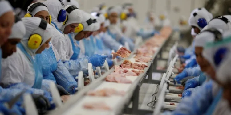 Gripe aviária: países retomam importação de frango brasileiro
