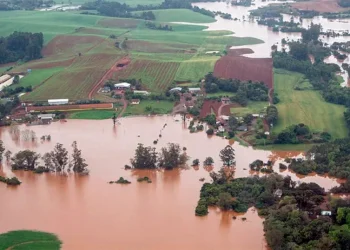 Federações do RS estabelecem 15 demandas emergenciais em favor de produtores gaúchos