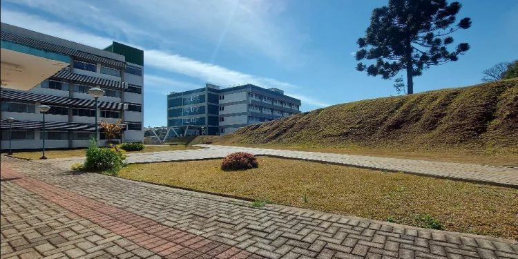 UFFS promove Festa Julina aberta ao público na próxima quinta-feira