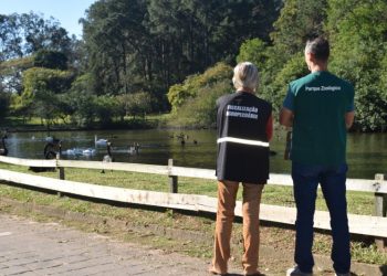 Foco de gripe aviária no Zoológico de Sapucaia é encerrado após 14 dias sem mortes de aves