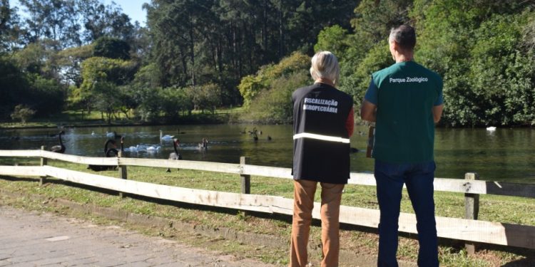 Foco de gripe aviária no Zoológico de Sapucaia é encerrado após 14 dias sem mortes de aves