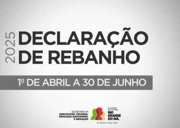 RS teve 89,17% de declarações de rebanho entregues em 2025