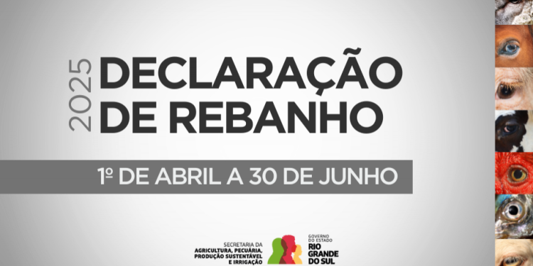 RS teve 89,17% de declarações de rebanho entregues em 2025