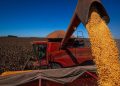 Agronegócio do Sul questiona efetividade do Plano Safra 2025/26