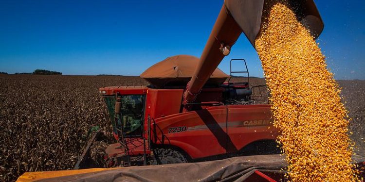 Agronegócio do Sul questiona efetividade do Plano Safra 2025/26