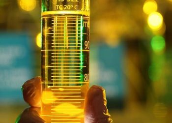 Déficit global de biocombustíveis pode chegar a 45% até 2040
