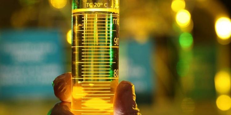 Déficit global de biocombustíveis pode chegar a 45% até 2040