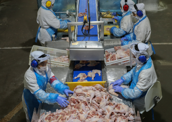 Quatro países retiram restrições de exportação à carne de aves brasileiras