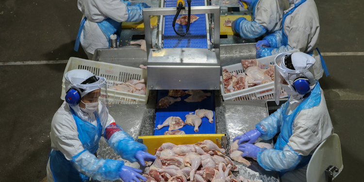 Quatro países retiram restrições de exportação à carne de aves brasileiras