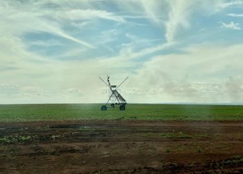 Brasil cria grupo de trabalho para ampliar investimentos agropecuários com Angola