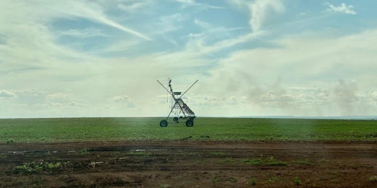 Brasil cria grupo de trabalho para ampliar investimentos agropecuários com Angola