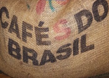 Agro brasileiro deveria pressionar Congresso dos EUA contra tarifaço, diz professor da FGV