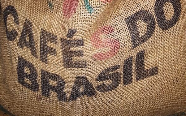 Agro brasileiro deveria pressionar Congresso dos EUA contra tarifaço, diz professor da FGV