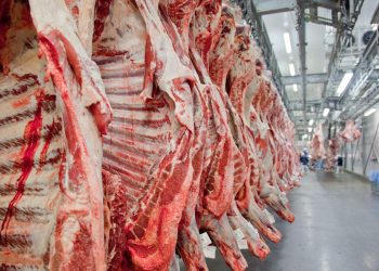 Brasil deve bater recorde de exportação de carne bovina mesmo sem os EUA, diz analista