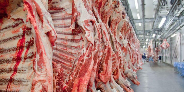 Brasil deve bater recorde de exportação de carne bovina mesmo sem os EUA, diz analista