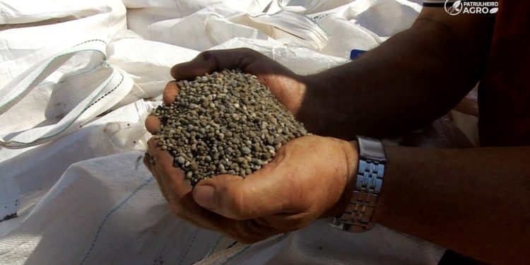 Mercado de fertilizantes deve desacelerar no segundo semestre, aponta Itaú BBA