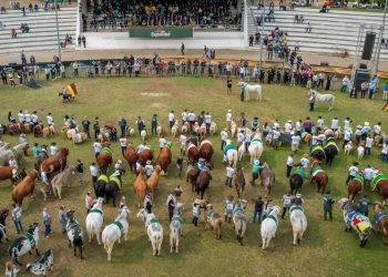 Expointer 2025 tem aumento de 47,69% na inscrição de animais de argola