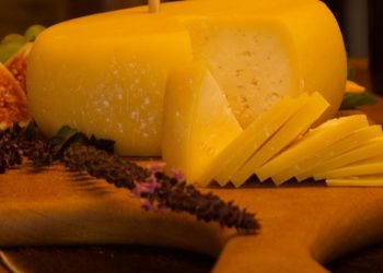 Valorização do queijo colonial gaúcho e sua produção artesanal na agroindústria