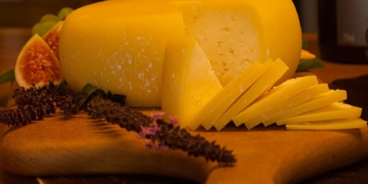 Valorização do queijo colonial gaúcho e sua produção artesanal na agroindústria