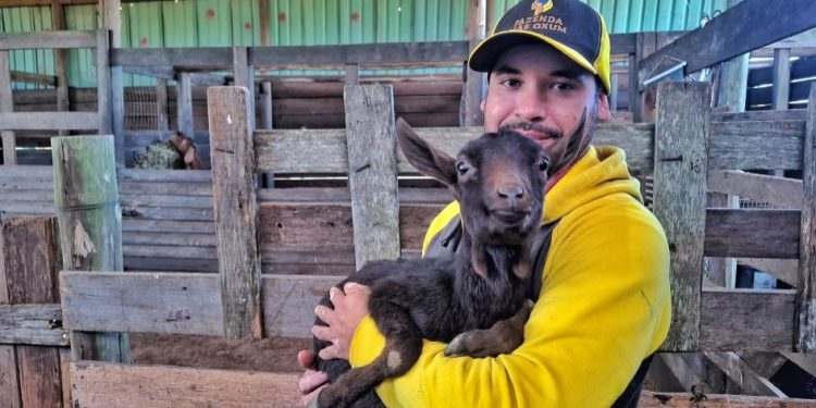 Caprina leiteira da raça espanhola Murciana estreia na Expointer