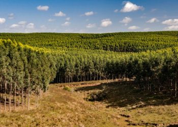 Codesul realiza reunião técnica sobre Agricultura de Baixo Carbono