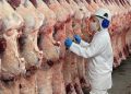 China prorroga investigação sobre carne bovina importada