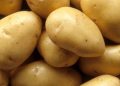 Chuvas reduzem oferta e batata ágata especial dispara até 29,8%