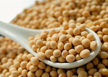 Óleo dispara quase 5% e impulsiona soja em Chicago; novembro sobe quase 2%
