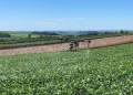 SLC Agrícola dobra Ebitda ajustado no 2º tri frente a um ano antes