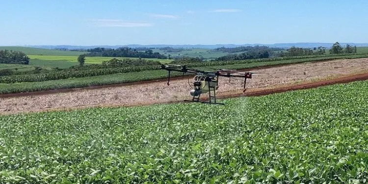 SLC Agrícola dobra Ebitda ajustado no 2º tri frente a um ano antes