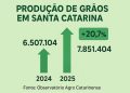 Santa Catarina tem safra recorde de grãos em 2025 com alta de 20,7%