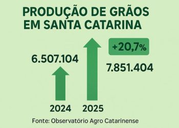 Santa Catarina tem safra recorde de grãos em 2025 com alta de 20,7%