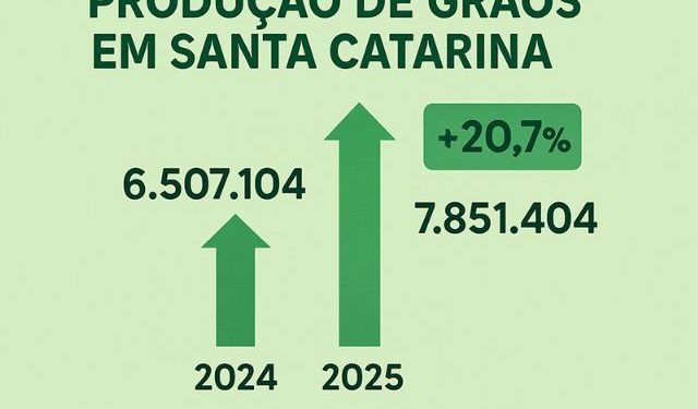 Santa Catarina tem safra recorde de grãos em 2025 com alta de 20,7%