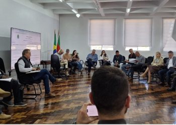 Secretaria da Agricultura e instituições debatem operacionalização do pacote de R$ 12 bilhões para produtores