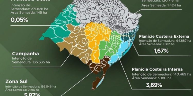 Monitoramento do Irga aponta evolução inicial da semeadura do arroz no RS