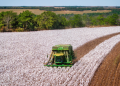 Dia Mundial do Algodão: Brasil é líder em exportação e produção sustentável
