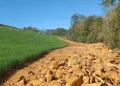 Brigada Militar Ambiental flagra desmatamento em Machadinho