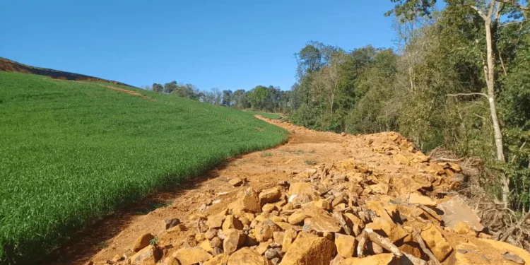 Brigada Militar Ambiental flagra desmatamento em Machadinho