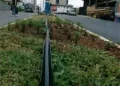 Justiça absolve ex-prefeito de Piratuba, Adélio, da acusação de irregularidades na implantação da rede de irrigação dos canteiros da Avenida