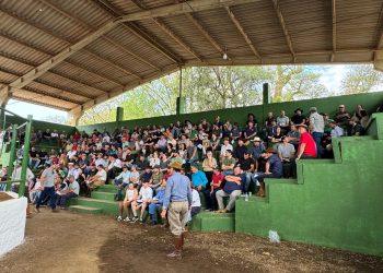 Sucesso no 1º Remate de Gado Geral de Primavera de Machadinho