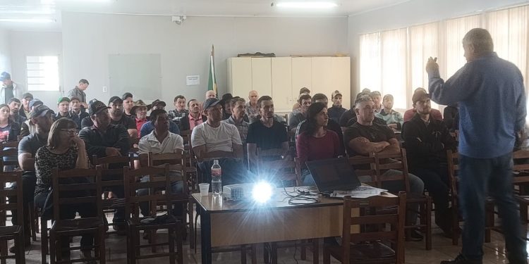 Reunião da Associação de Produtores de Gado de Corte debate alternativas para a pecuária em Machadinho