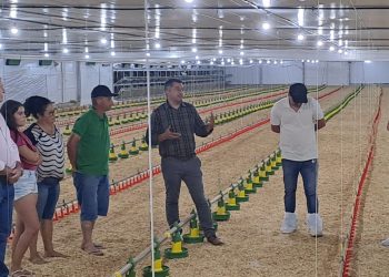 Machadinho: Inauguração de Novo Aviário Moderniza a Produção Avícola no Município
