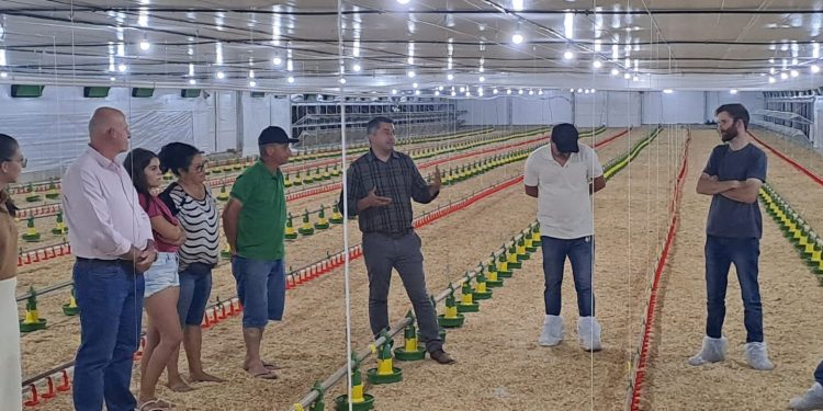 Machadinho: Inauguração de Novo Aviário Moderniza a Produção Avícola no Município
